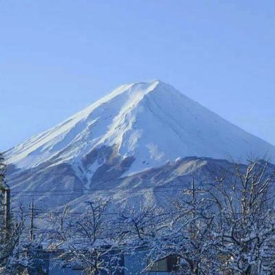 光芒手游破解版下载